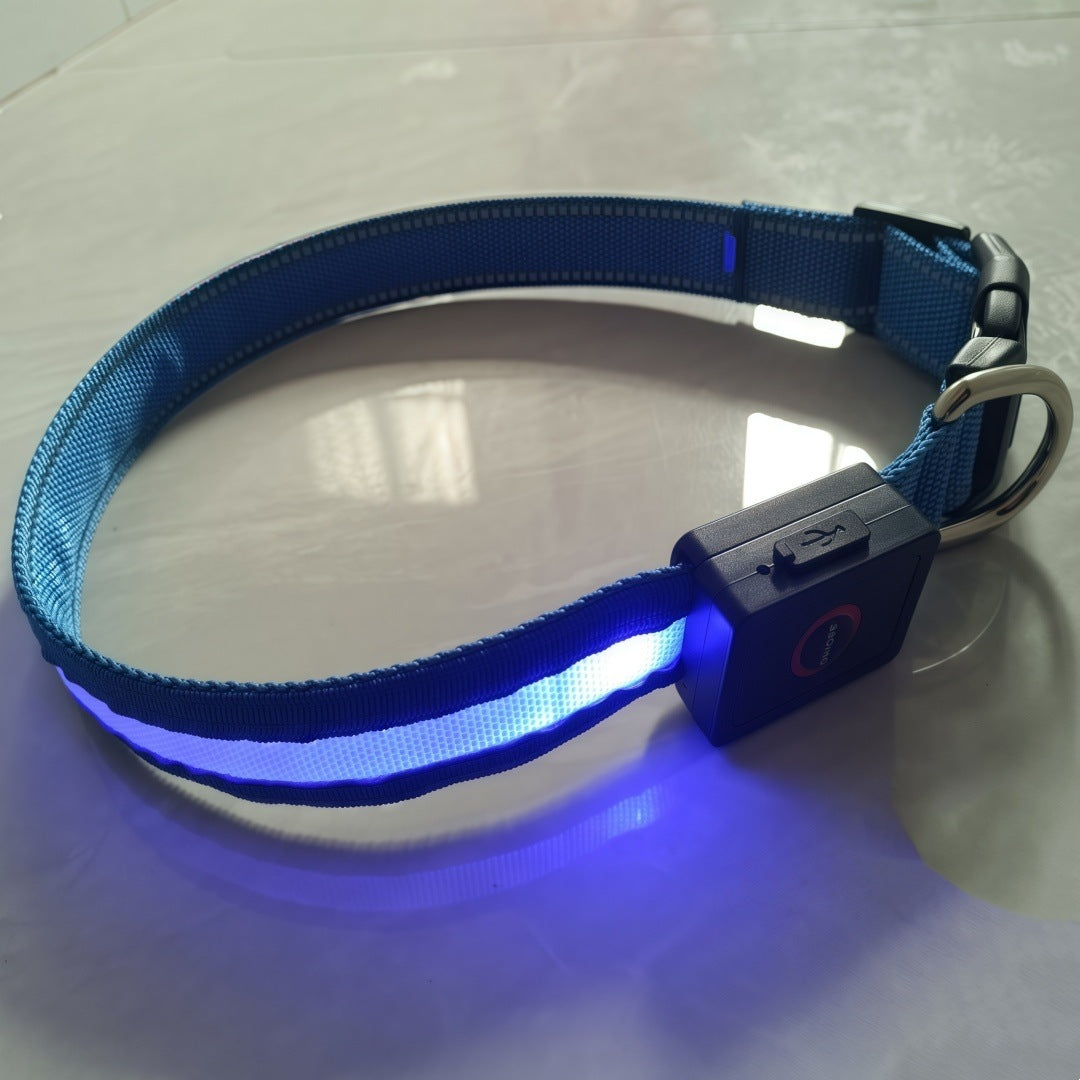 Glowing dog collar