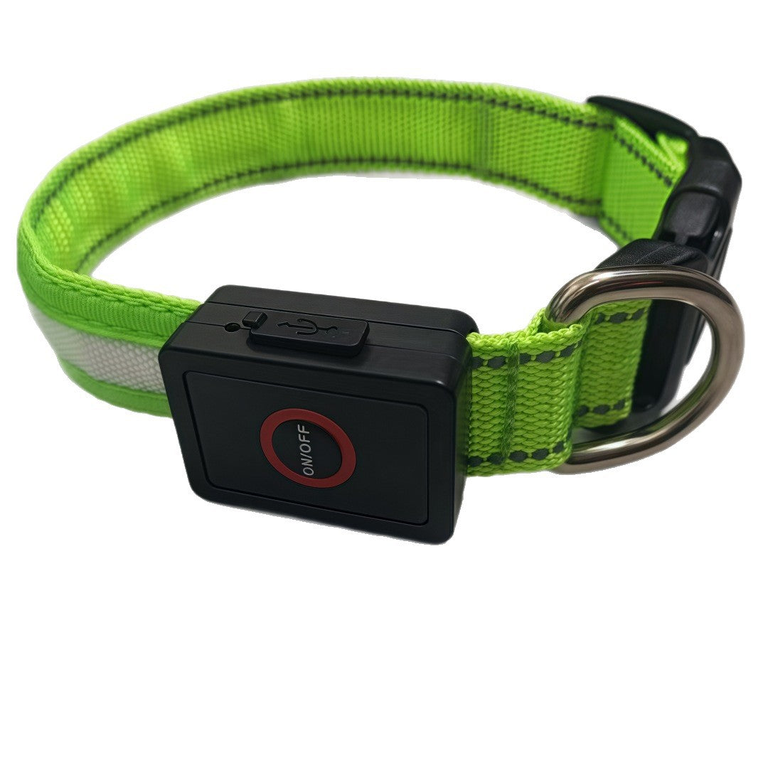 Glowing dog collar