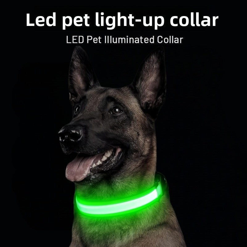 Glowing dog collar