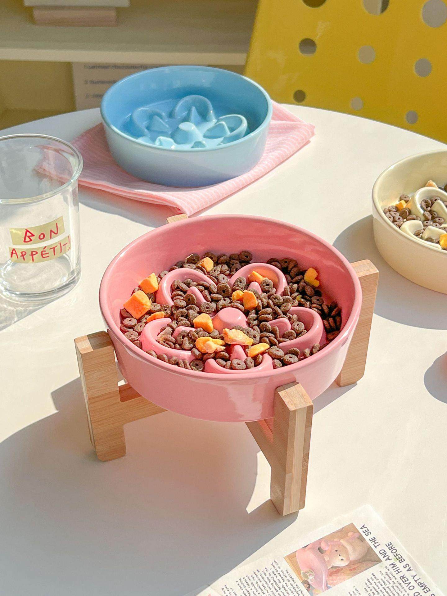 Ceramic Slow Feeder Pet Bowl