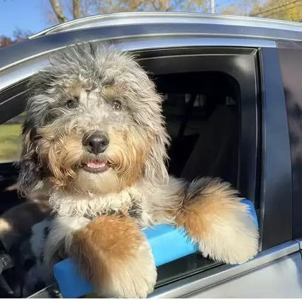 Car Window Chin Rest for Dogs