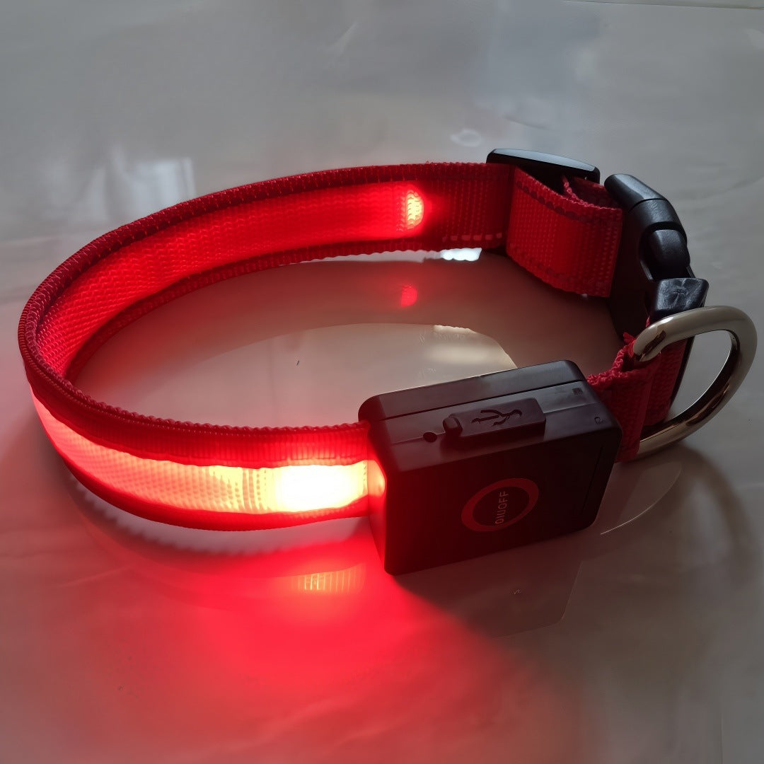 Glowing dog collar