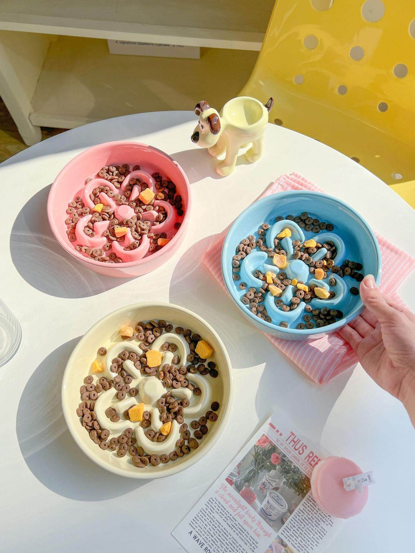 Ceramic Slow Feeder Pet Bowl