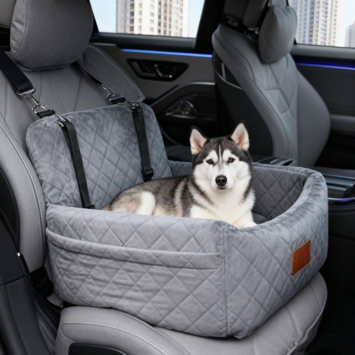 Car-mounted dog house