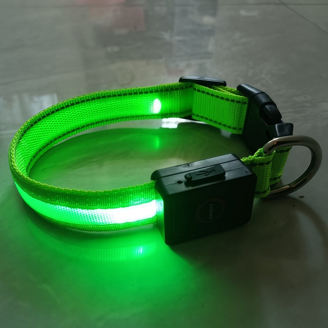Glowing dog collar